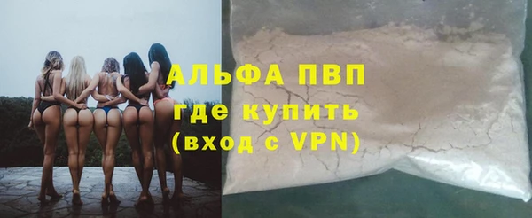 прущие грибы Аркадак