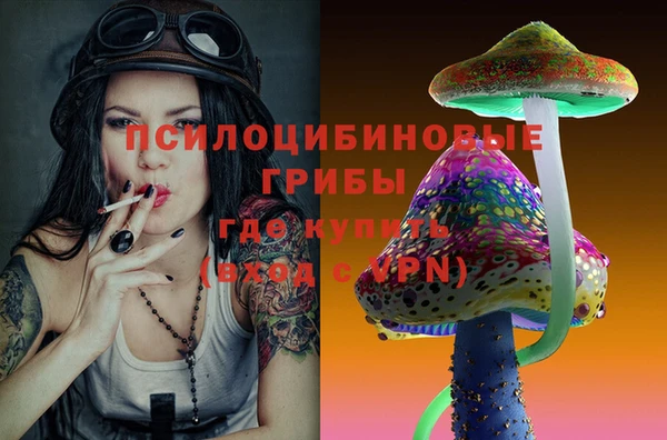 прущие грибы Аркадак