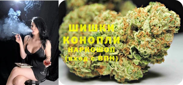 прущие грибы Аркадак