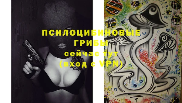 прущие грибы Аркадак