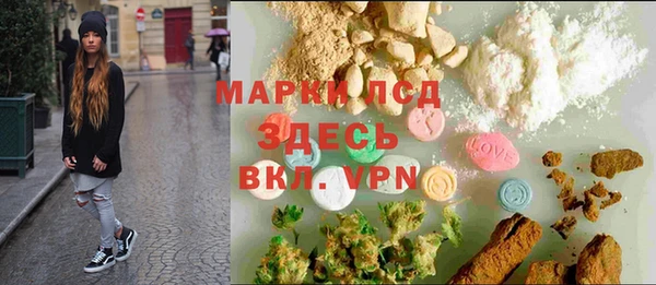 прущие грибы Аркадак