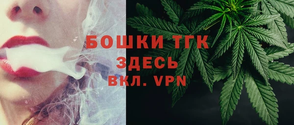 прущие грибы Аркадак