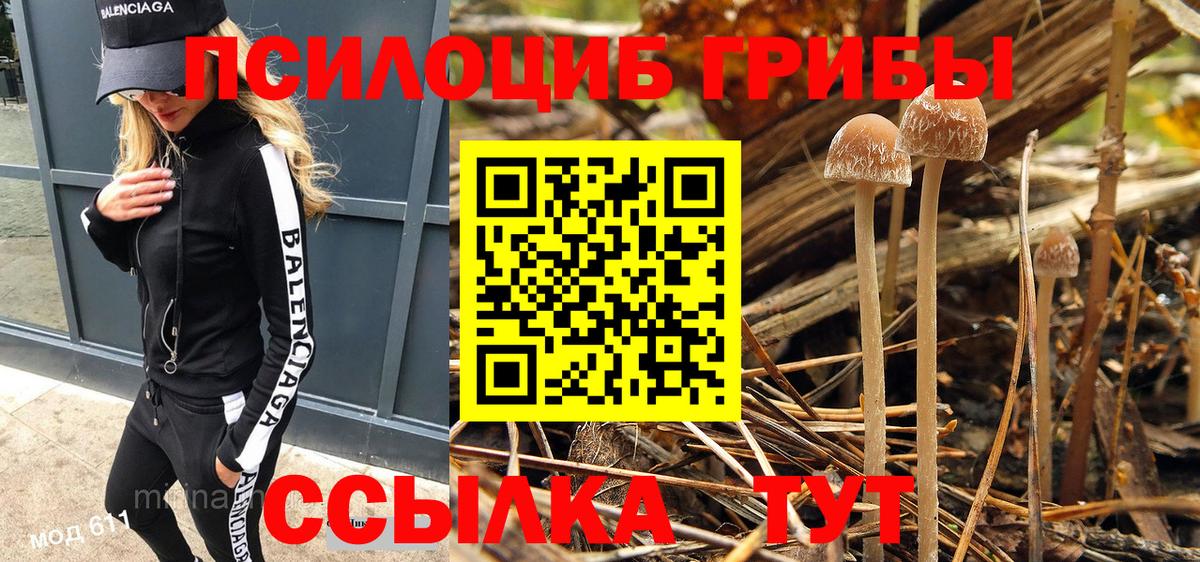 где продают наркотики  Псилоцибиновые грибы Magic Shrooms  Галлюциногенные грибы Cubensis  Вход с VPN  Ессентуки 