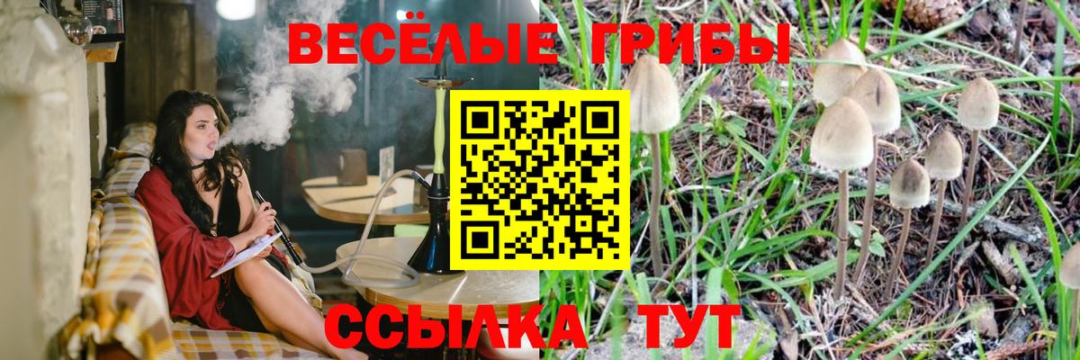 Псилоцибиновые грибы Magic Shrooms Ессентуки