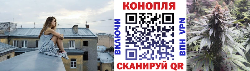 МАРИХУАНА ГИДРОПОН хочу Ессентуки